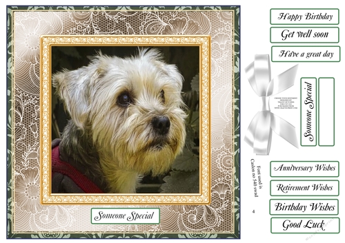 CHOOSE YOUR SENTIMENT YORKIE LURRVE