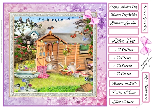 MOTHERS DAY LADY SHED PINK WELLIES 2