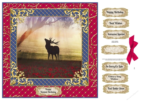 SCENIC STAG FATHERS DAY AND MULTI SENTIMENTS  2