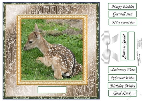 CHOOSE YOUR SENTIMENT BABY DEER