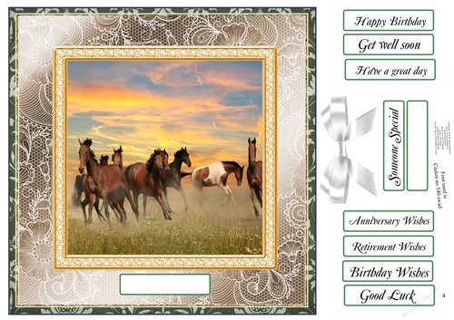 CHOOSE YOUR SENTIMENT HEARD OF HORSES