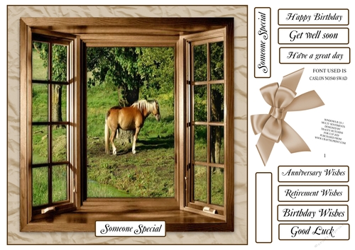 WINDOWS R US 1 PALOMINO SCENE