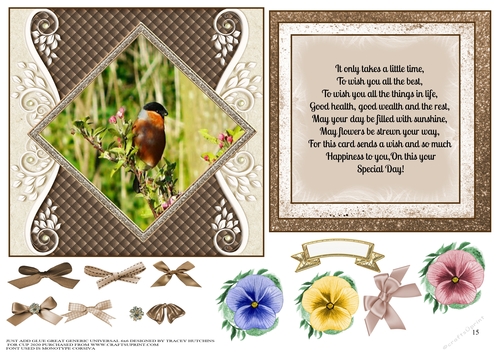 JUST ADD GLUE GENERIC UNIVERSAL 6x6 CONCEPT CARD BULLFINCH