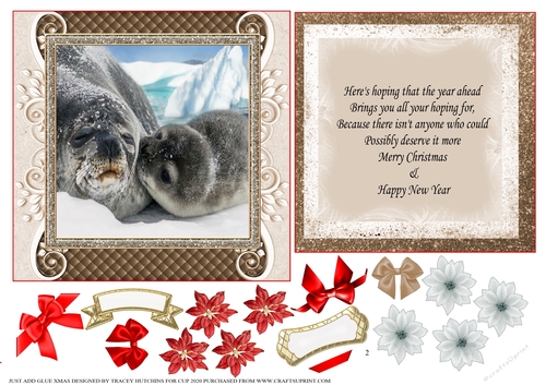XMAS JUST ADD GLUE CONCEPT CARD SEAL PUPS