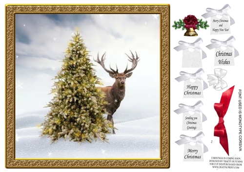CHRISTMAS IS COMING SOON STAG