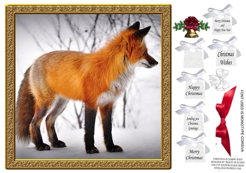 CHRISTMAS IS COMING SOON FOX