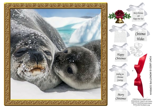 CHRISTMAS IS COMING SOON SEALS