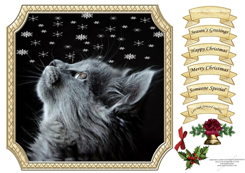 CHRISTMAS MULTI SENTIMENT SNOWFLAKES CAT