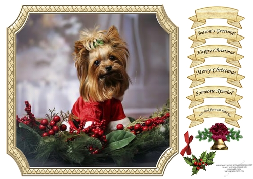 CHRISTMAS MULTI SENTIMENT CHRISTMAS YORKIE