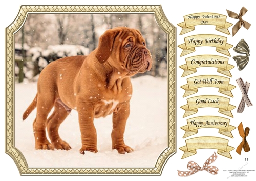 CUTE CANINES ( turner & hooch !!!)