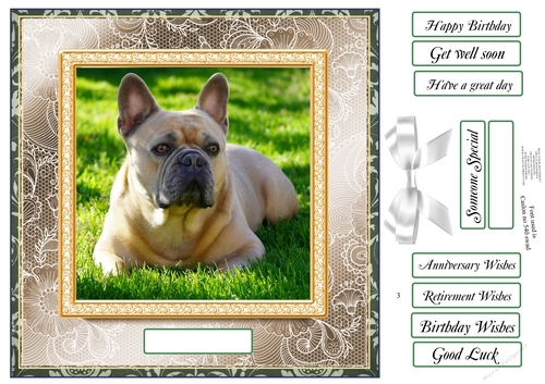 PICK YOUR SENTIMENT FRENCH BULL DOG