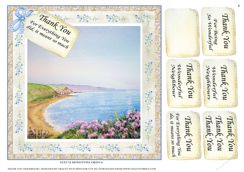 THANK YOU NEIGHBOURS  V2 / NEIGHBOUR 6