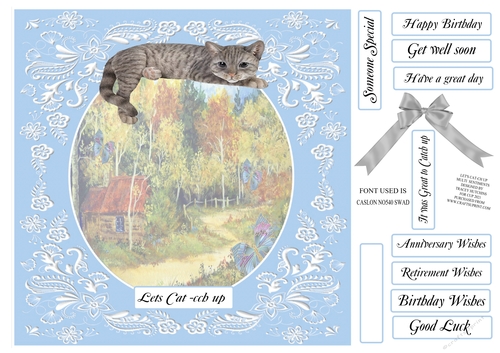 LETS CAT CH UP 6 VARIOUS SENTIMENTS