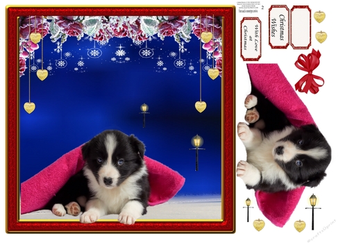 CHRISTMAS CUTIE 2 COLLIE PUPPY