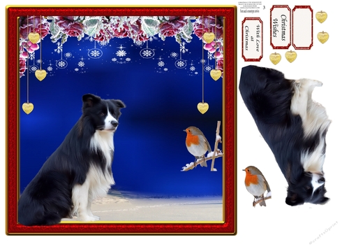 CHRISTMAS CUTIE 3 COLLIE