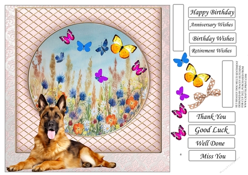 SHAGGY DOGS ALSATIAN GERMAN SHEPHERD