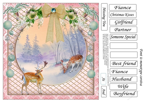 UNIVERSAL  UNISEX PARTNER WIFE BOYFRIEND ETC @ CHRISTMAS 