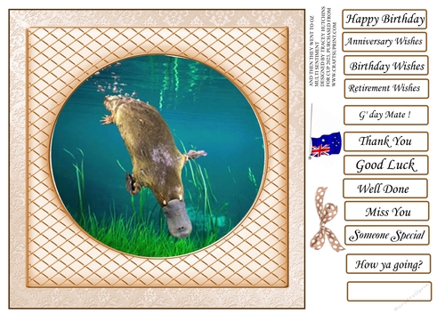 AND THEN THEY WENT TO OZ platypus