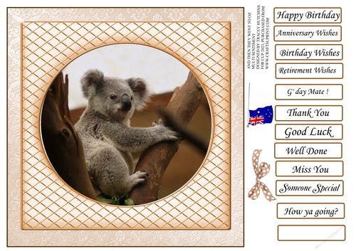 AND THEN THEY WENT TO OZ cute koala