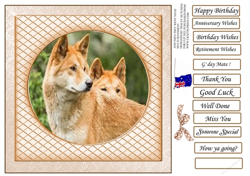 AND THEN THEY WENT TO OZ twin dingoes