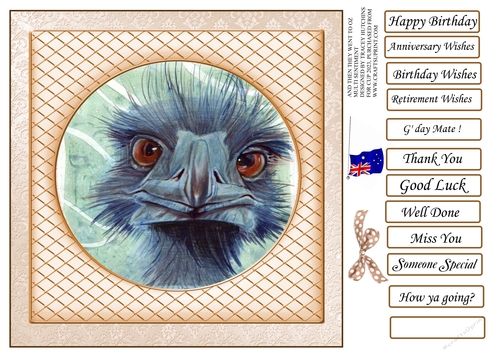 AND THEN THEY WENT TO OZ ostrich emu