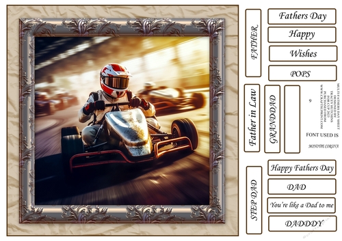 FATHERS DAY KARTING
