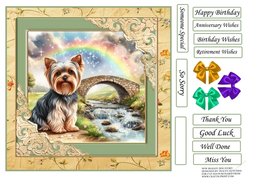 SHAGGY DOGS V2 YORKIE