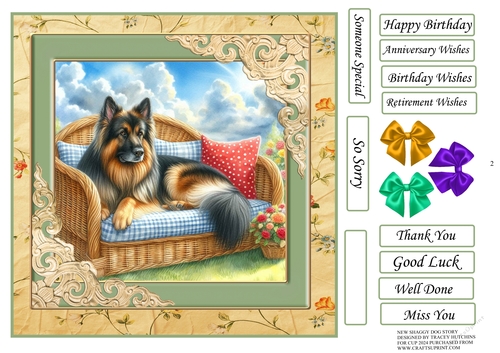 SHAGGY DOGS V2 ALSATIAN