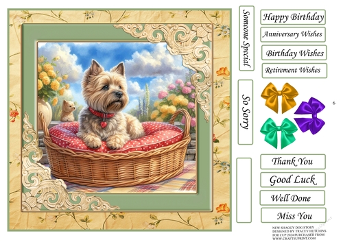 SHAGGY DOGS V2 YORKSHIRE TERRIER