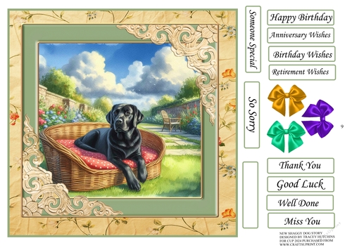 SHAGGY DOGS V2 BLACK LABRADOR
