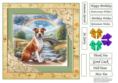SHAGGY DOGS staffy, Staffordshire bull terrier,