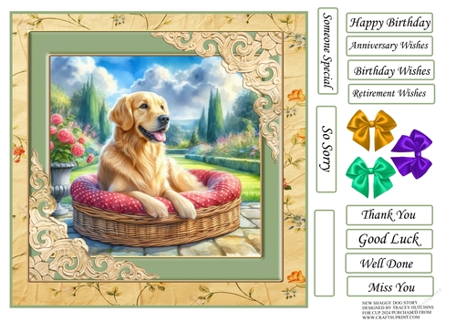 SHAGGY DOGS golden retriever