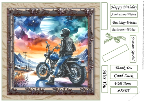 MALE MOTORBIKE MULTI SENTIMENT