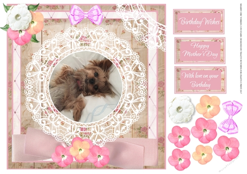 SHABBY CHIC YORKIE 2