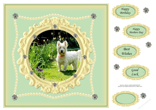 WESTIE CAMEO BIRTHDAY 