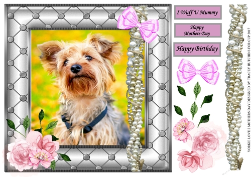 YORKIE LOVE 2