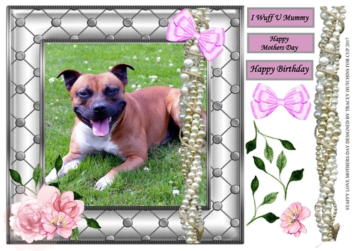 STAFFY LOVE 