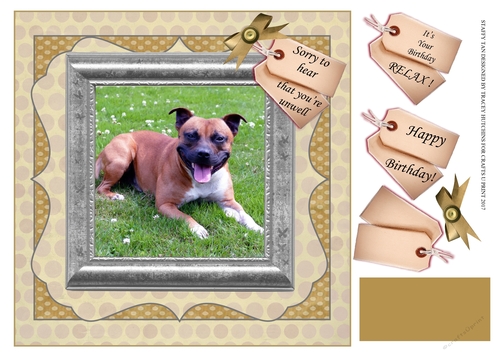 STAFFY GET WELL/BIRTHDAY