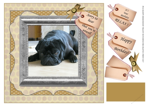 PUG GET WELL/BIRTHDAY