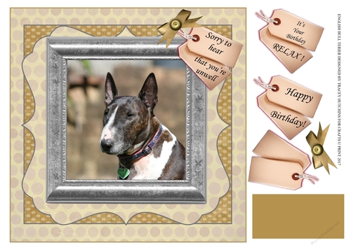 BULL TERRIER GET WELL/BIRTHDAY