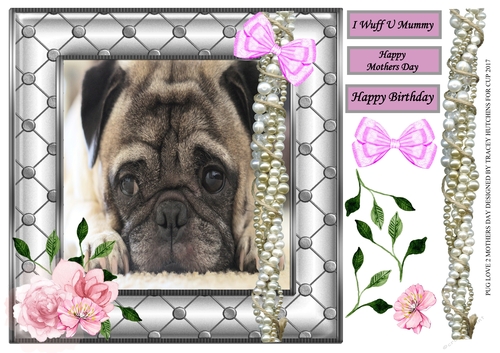 PUG LOVE 2 BIRTHDAY