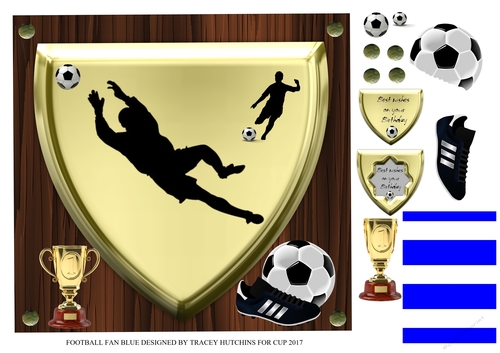 FOOTBALL FAN BLUE