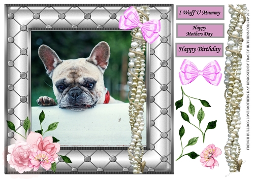 FRENCH BULL DOG LOVE