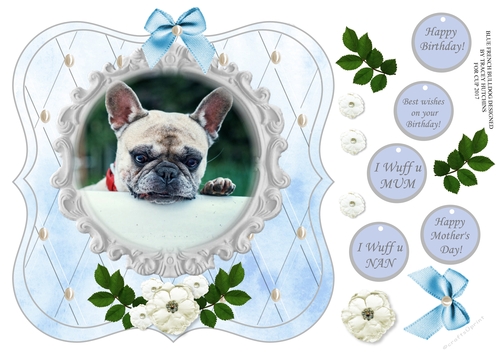 FRENCH BULLDOG BLUE