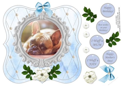 FRENCH BULL DOG BLUE 