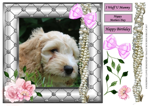 COCKERPOO LOVE 2 MOTHERS DAY/BIRTHDAY