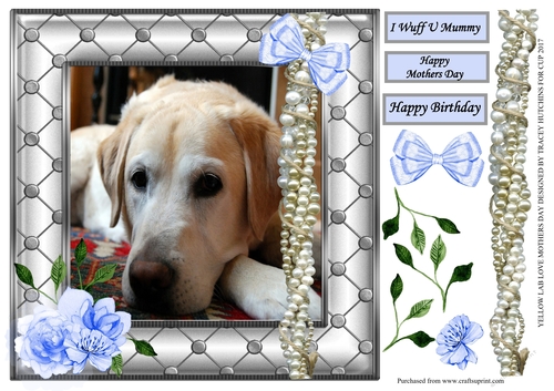 YELLOW GOLDEN LABRADOR LOVE