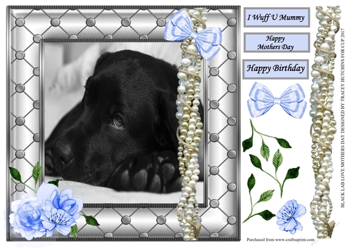 BLACK LABRADOR LOVE