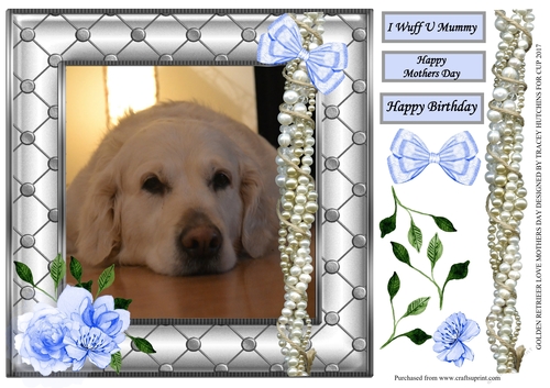 GOLDEN RETRIEVER LOVE