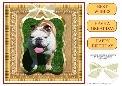 BULLDOG BIRTHDAY
